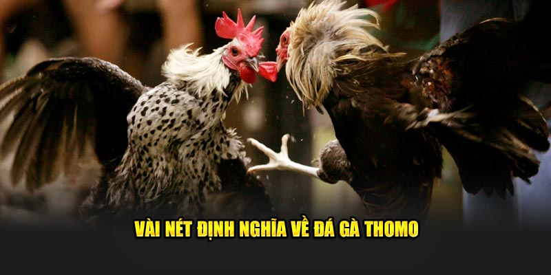 Vài nét định nghĩa về đá gà Thomo